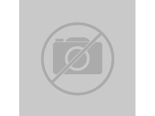 TOOLCRAFT TO-6854067 Jousialuslevyt Sisähalkaisija: 3,5 mm DIN 127 Jousiteräs sinkitty 1000 kpl