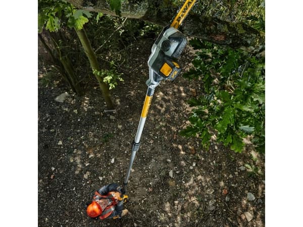 DeWALT XR - Kvistsåg - sladdlös - 18 V - 20 cm - 4.4 kg - SOLO