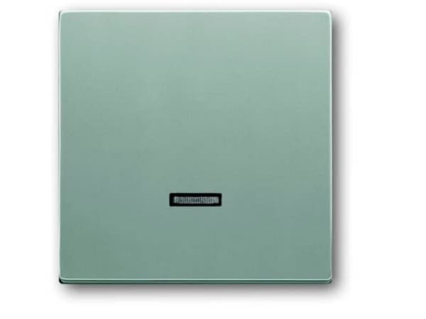 Busch-Jaeger 6543-83-101, Aluminium, Busch-Jaeger, 63 mm, 63 mm, 1 stykker