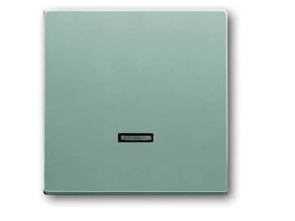 Busch-Jaeger 6543-83-101, Aluminium, Busch-Jaeger, 63 mm, 63 mm, 1 stykker