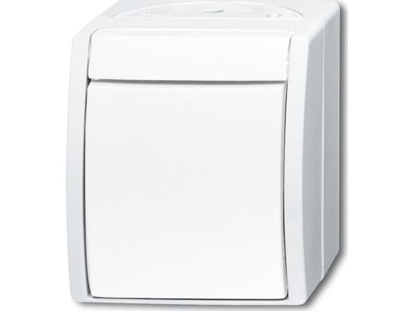 BUSCH-JAEGER vippebryter 2601/7W-54 ocean alpine white IP44 vippebryter 2601/7W-54 (2601/7W-54)