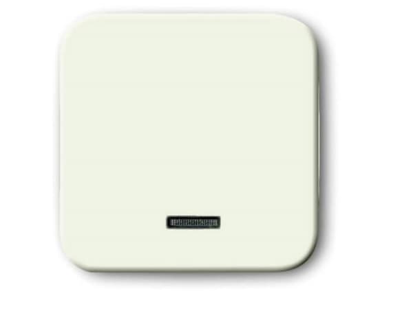 Busch-Jaeger 6543-212-102 Indgangsmodul Uden Perlehvid, Cremehvid 1 stk