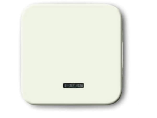 Busch-Jaeger 6543-212-102 Indgangsmodul Uden Perlehvid, Cremehvid 1 stk