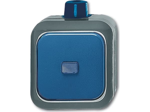 Busch Jaeger 2601/6 WDI elektrisk bryter blå - grå (1084-0-0797)