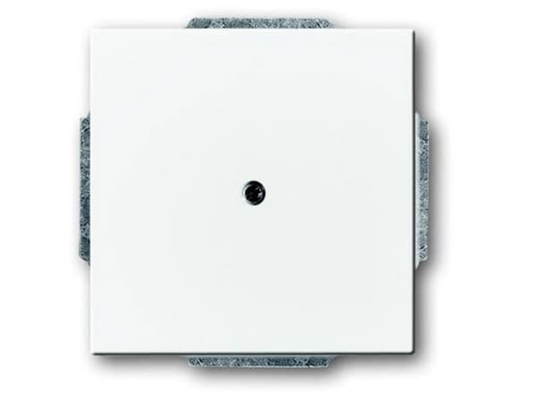1742-84 CoverPlates (partly incl. Insert) future®, Busch-axcent®, solo®; carat® Studio white