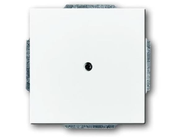 1742-84 CoverPlates (partly incl. Insert) future®, Busch-axcent®, solo®; carat® Studio white
