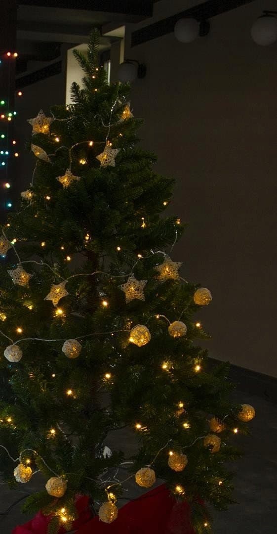 Retlux RETLUX - RXL 249 Joulukoriste 16LED, luonnolliset tähdet, pituus 3m + johto 0.3m, 3x AA, väri lämmin valkoinen