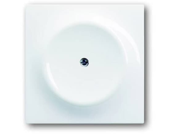ABB Afdækning Blænddæksel Klar hvid (RAL 9010), Hvid 2CKA001753A4930 1 stk