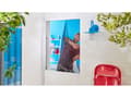 Pikkukuva 5 / 5: TESA Insect Stop Comfort, 1700 x 10 x 1800 mm, 141 g, Valkoinen, 454 g