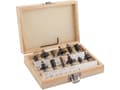 Miniatyrbilde 2 av 4: Verto 60H010, Bit-sett, 173 mm, 8 mm, 8 mm, 12 stykker