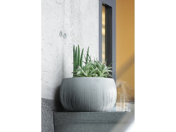 Prosperplast DKB240-B411, Sort, Sement, 238 mm, 161 mm, 1 stykker