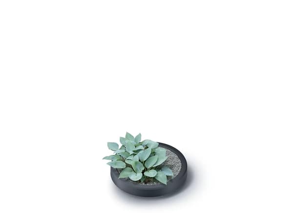 Prosperplast Maze, 240 l, Grå, Rainwater, Grå, 593 mm, 593 mm