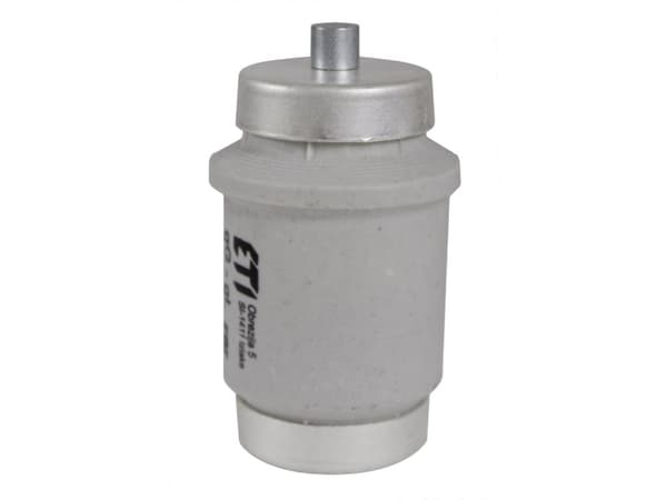 Eti-Polam sikringsinnsats 100A DIV gG 500V E40 (002314402)