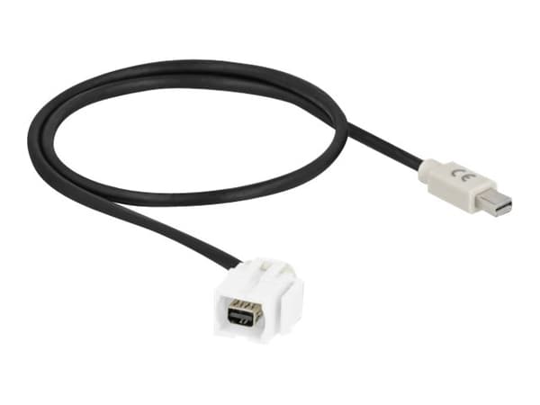 Delock - Modulär insättning - 110° angled - 50 cm - mini-DisplayPort - vit