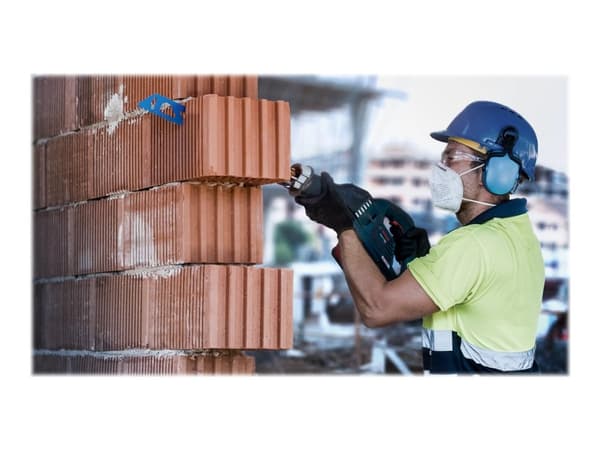 Bosch BAJONET SAVER S2243HM MURSTEN