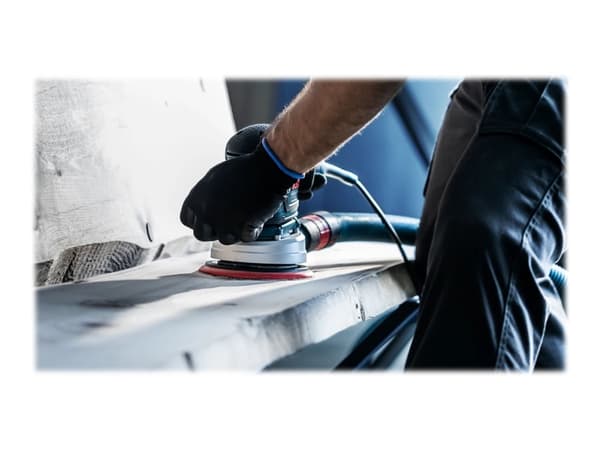 Bosch Expert M480 - Sandpapper - för trä, gips, målarfärg - 5 delar - rund - grus: 240 - 150 mm