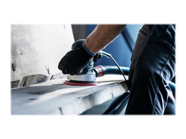 Bosch Expert M480 Net - Slipeark - for løvtre, maling på tre - 50 deler - rund - grovkorn: P220 - 125 mm