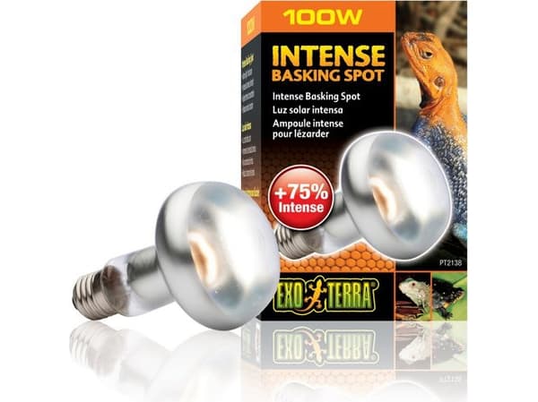 Bulb Intense Basking Spot 100W, 80mm