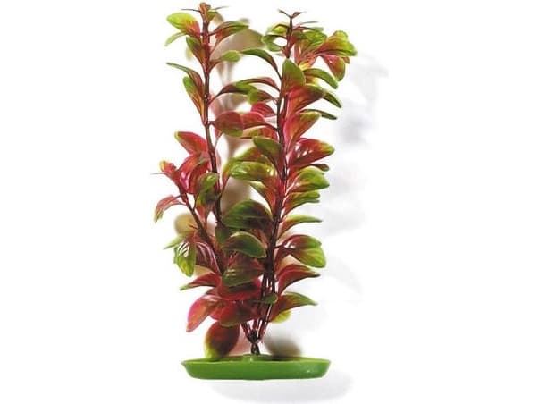 HAGEN Red Ludwigia plant 20cm