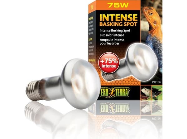HAGEN EXOTERRA POLTTIMO INTENSE SPOT 75W