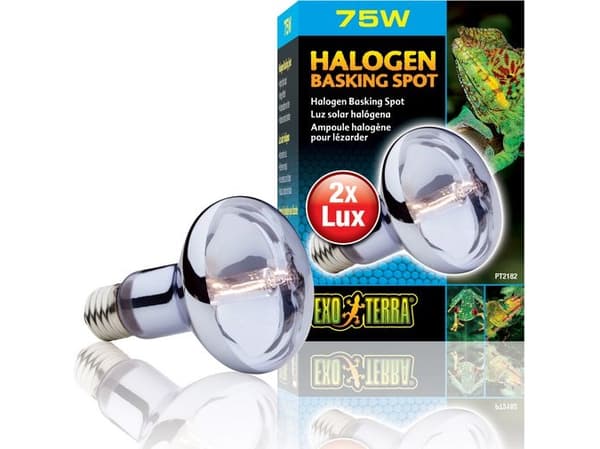Hagen EXOTERRA HALOGEN SPOT Pære 75W