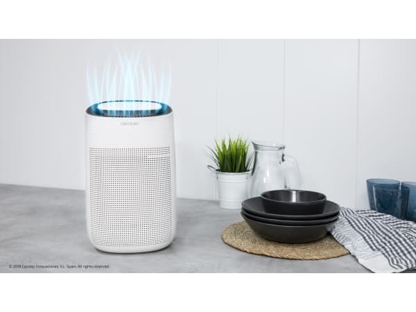 Cecotec Big Dry 2500 Pure Light, 45 W, 100 - 240 V, 50 - 60 Hz, 12,5 mm, 36 mm, 21 mm