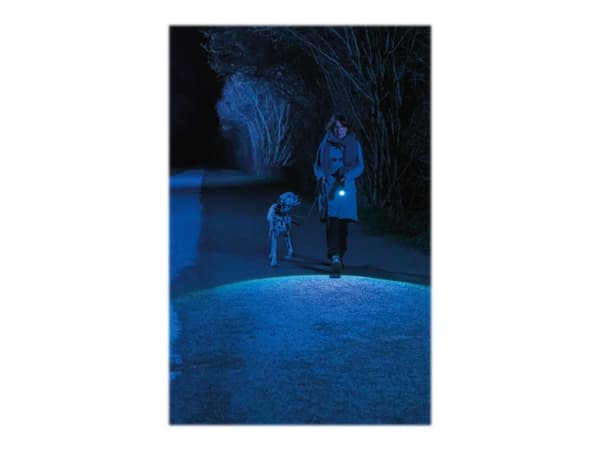 ABUS TL530, Käsikokoinen taskulamppu, Antrasiitti, Alumiini, Painikkeet, IP44, LED