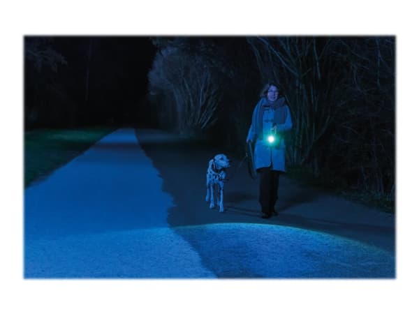ABUS TL530, Käsikokoinen taskulamppu, Antrasiitti, Alumiini, Painikkeet, IP44, LED