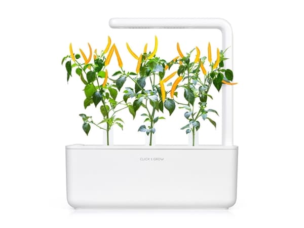 Click & Grow SGR60x3, Syötävä kasvi, Chili, Täyttöpakkaus, Kasvaa nopeasti (3–5 viikkoa), 14 - 21 päivää, 3 kuukautta