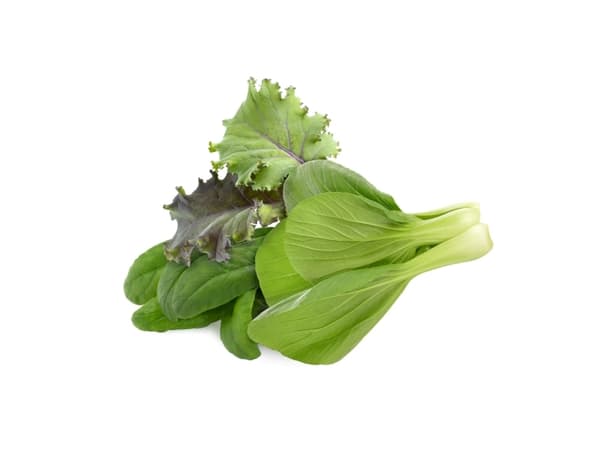 Click Grow Click &amp; Grow kasvipodit Aasia Cuisine Mix 9 kpl