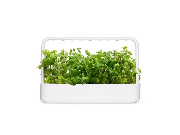 Click and Grow Smart Garden Refill 3-pack - Apple Mint