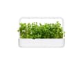 Miniatyrbilde 3 av 3: Click and Grow Smart Garden Refill 3-pack - Apple Mint
