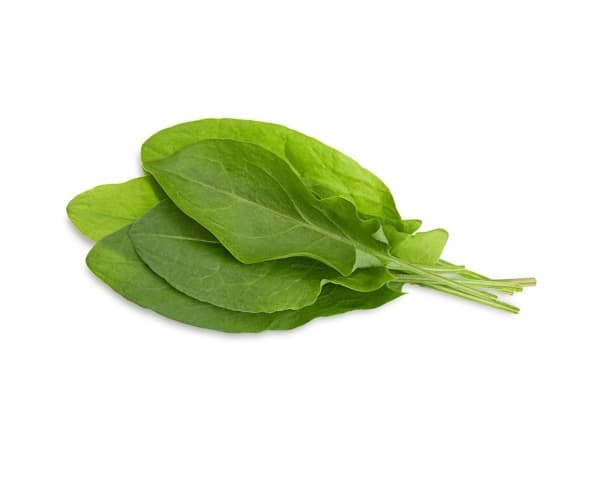 Click & Grow SGR55x3, Syötävä kasvi, Täyttöpakkaus, Kasvaa nopeasti (3–5 viikkoa), 7 - 14 päivää, 2 kuukautta, 18 - 24 °C