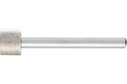 PFERD 36113010 Slipmaskin Diameter 13 mm 1 st