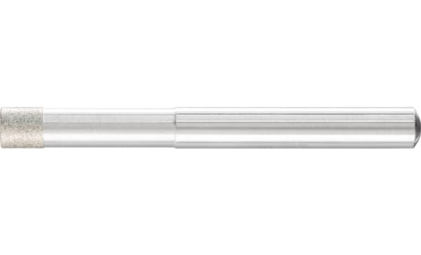 PFERD 36006009 Slipmaskin Diameter 6 mm 1 st