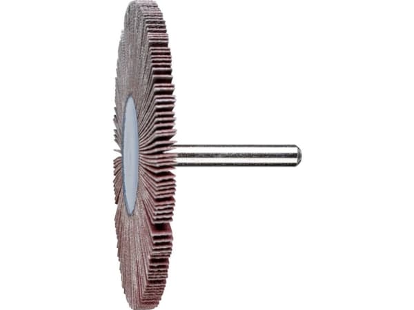 PFERD 47801624 Lamelsliber Diameter 80 mm 10 stk