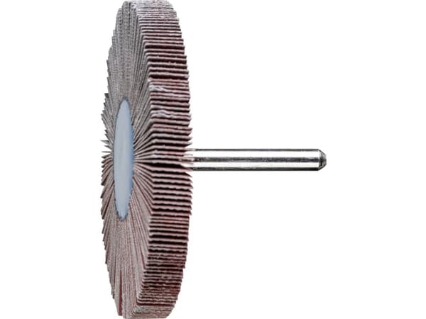 PFERD 47802857 Lamelsliber Diameter 80 mm 10 stk