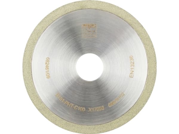 PFERD 68670102 Tillbehör för slipning och polering Diameter 100 mm 1 st