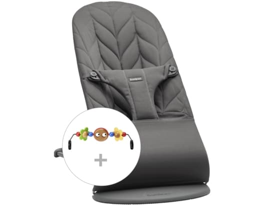 BabyBjorn Bouncers Bundle With Toy, Poika/tyttö, Kokoontaitettava, lelukaari, Antrasiitti