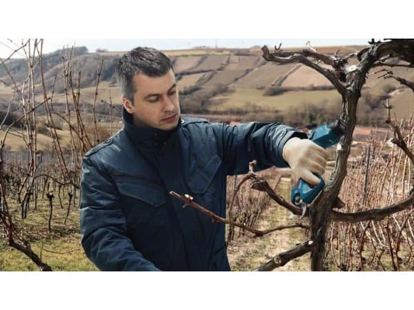 Bosch Pro Pruner Professional, 2,5 cm, Sort, Blå, Kasse, Lithium-Ion (Li-Ion), 12 V, 110 mm