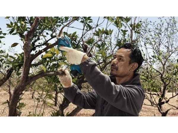 Bosch Pro Pruner Professional, 2,5 cm, Sort, Blå, Kasse, Lithium-Ion (Li-Ion), 12 V, 110 mm