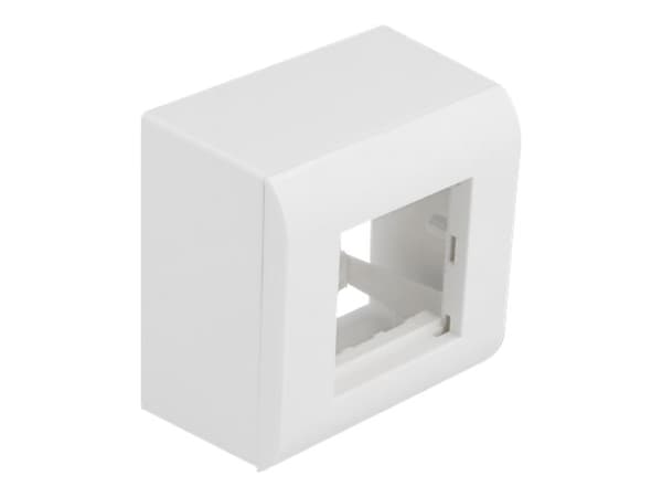 Delock - Easy 45 - ytmonterad dosa - 2 modules - vit, RAL 9003