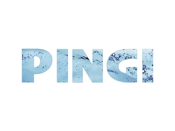 PINGI Vida 1S Luftaffugter 30 m² 0.25 l/dag Sort