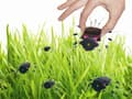 Miniatyrbild 2 av 5: Whadda WSAK185, Svart, Rosa, Batteri, AAA, 140 mm, 150 mm, 50 mm
