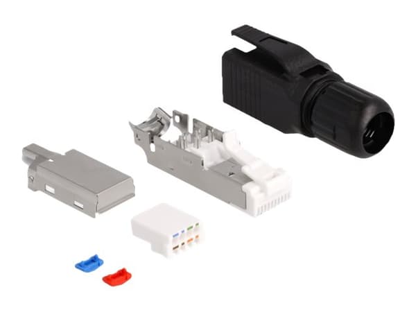 Delock - Nätverkskontakt - RJ-45 (hane) - CAT 6a