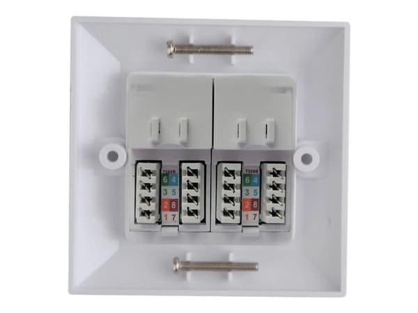 Lanview - Planskiva - UK type, 86 x 86 mm - bordsmontering, försänkt montering - 2-gang - 2 portar