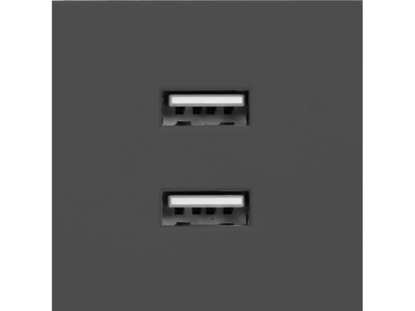 NOEN USB x 2, modulär dubbelport 45x45mm med USB-laddare, 2,1A 5V DC, svart,OR-GM-9010/B/USBX2