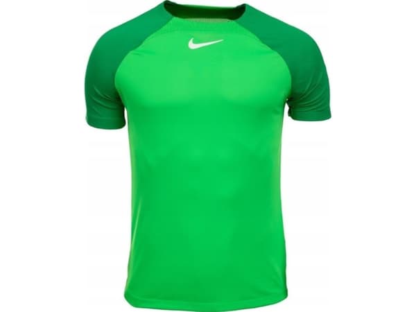 Nike Academy Pro T-paita DH9225 329