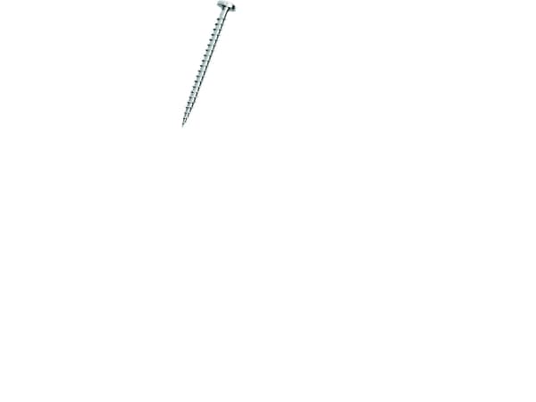 DRESSELHAUS Spunskrue 4,0x12 mmpanhoved Torx® 20 kærv Elforzinket - (100 stk.)