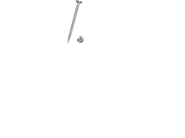 DRESSELHAUS Spunskrue 6,0x100 mm panhoved torx® 30 kærv gulkromateret - (100 stk.)